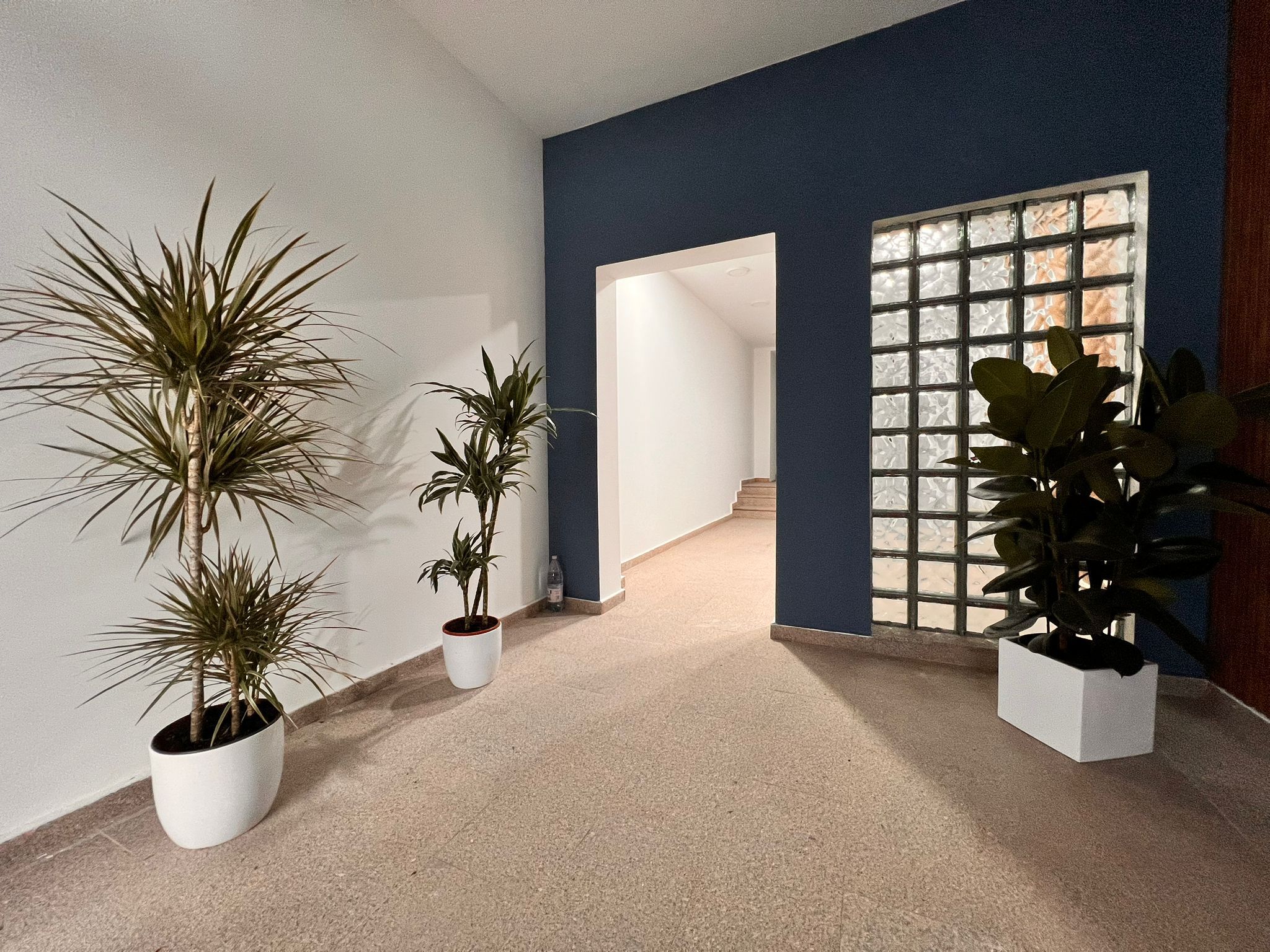 Noe Apartaments