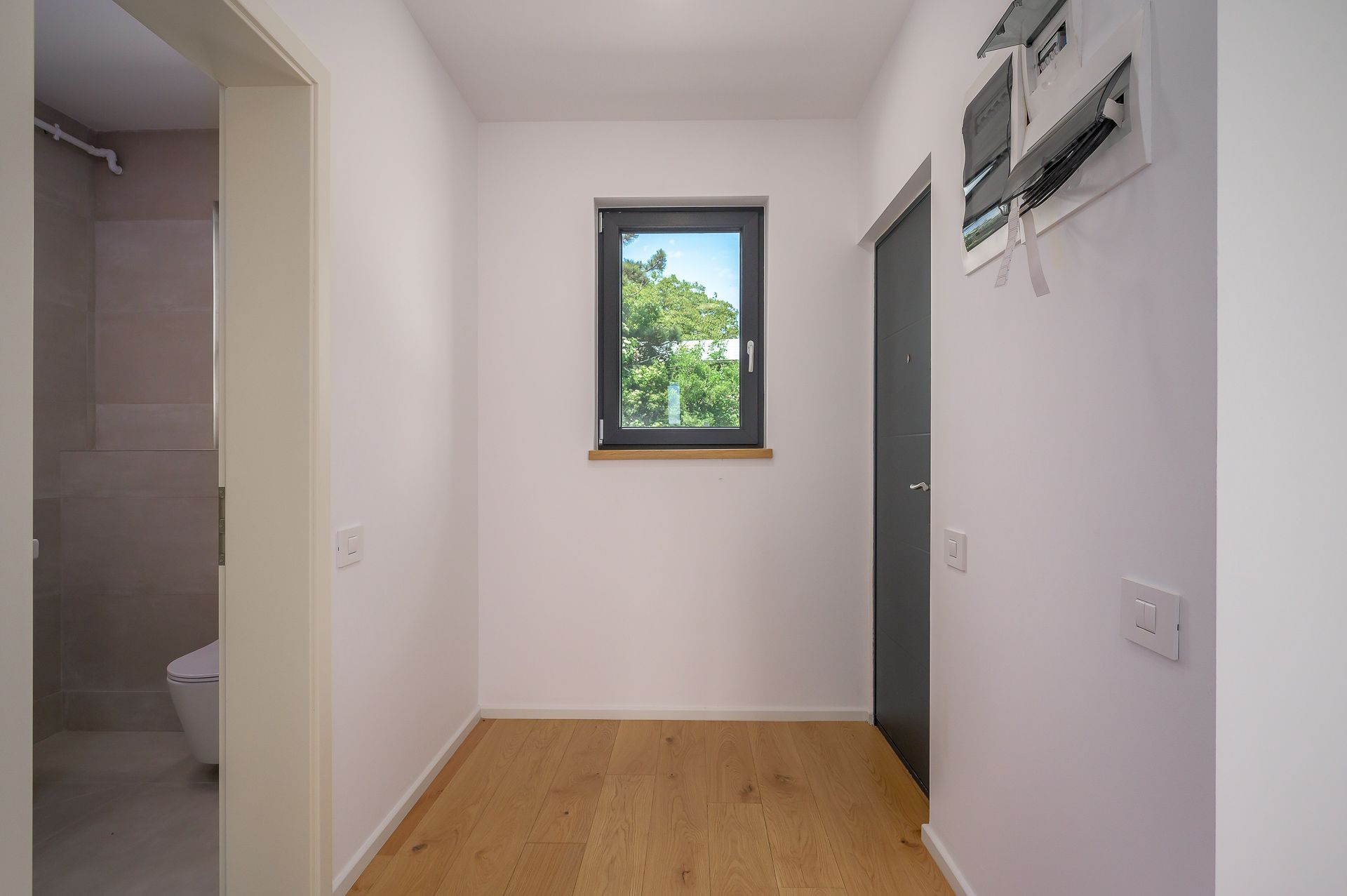 IReal Project Pipera