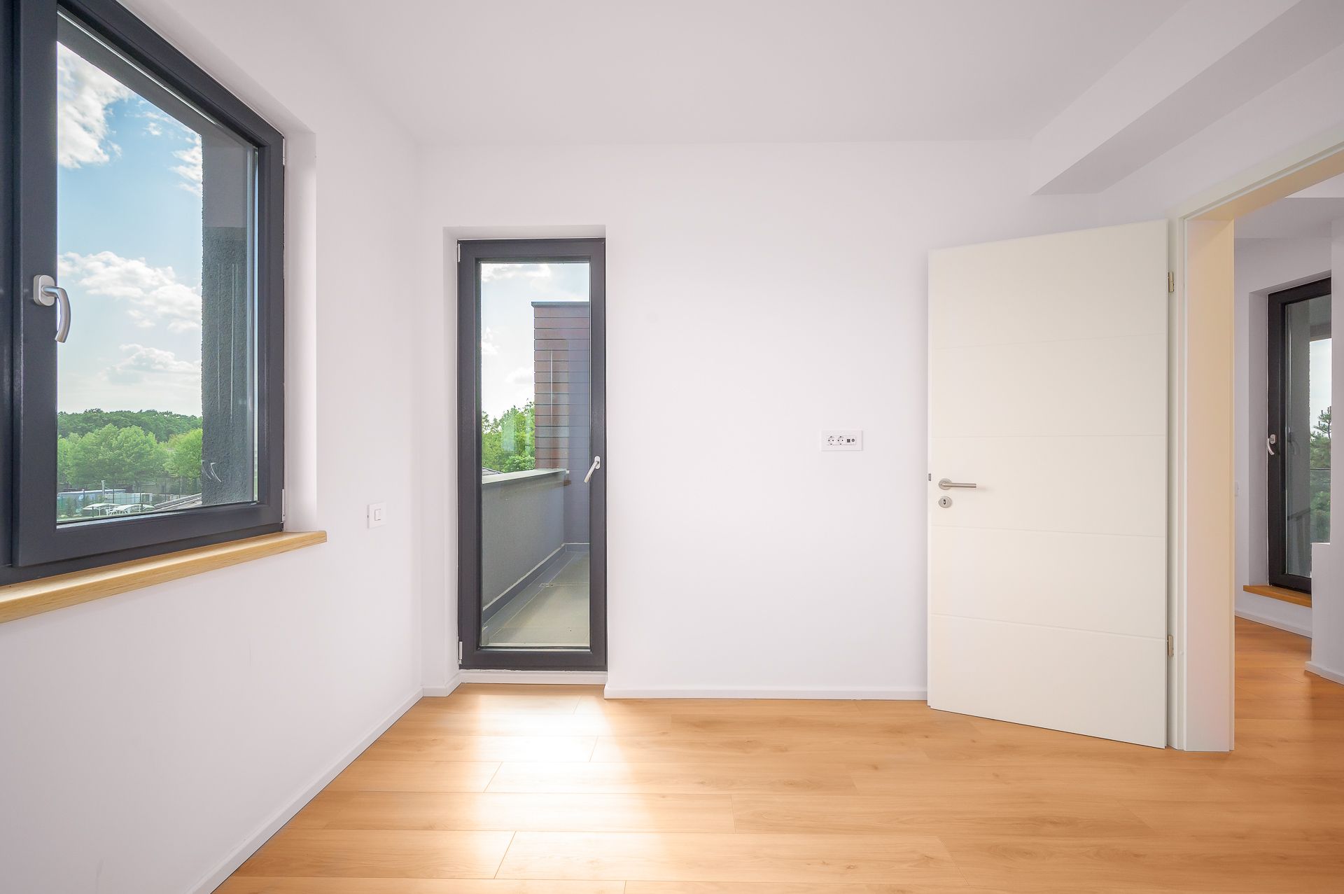 IReal Project Pipera